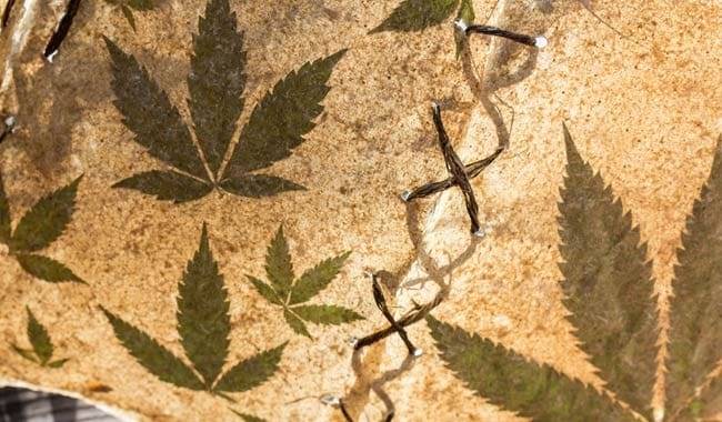 Vendita cannabis legale la scelta delle industrie della cart