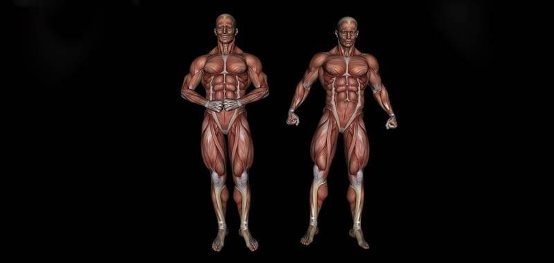 Cos’è la mialgia?