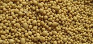 Lievito di birra ecco come sostituirlo efficacemente