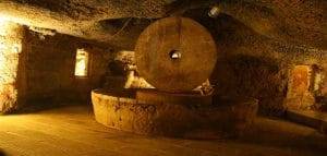 Olio ecco come funziona un frantoio