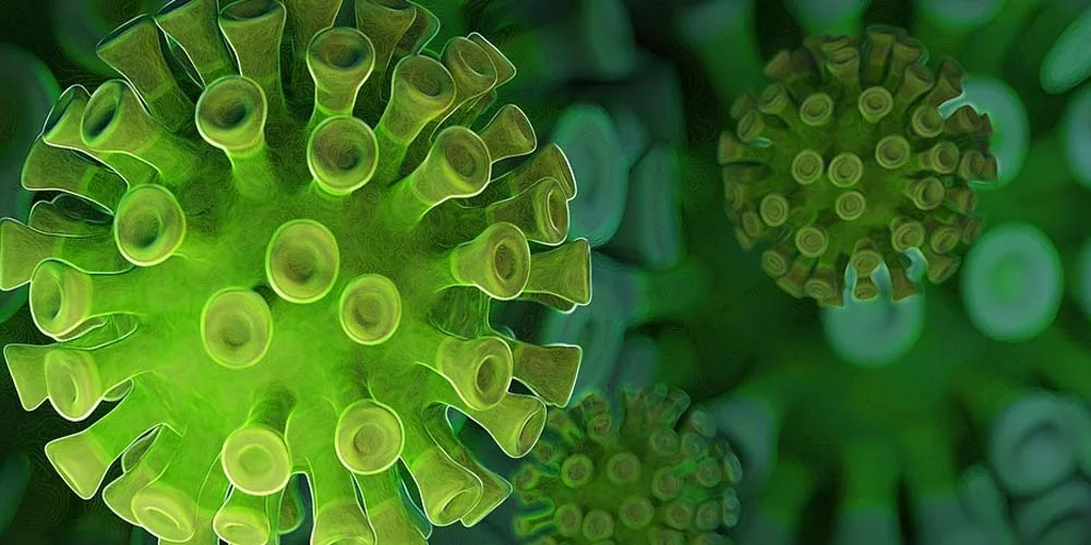 Coronavirus Perche i ceppi mutati si diffondono prima