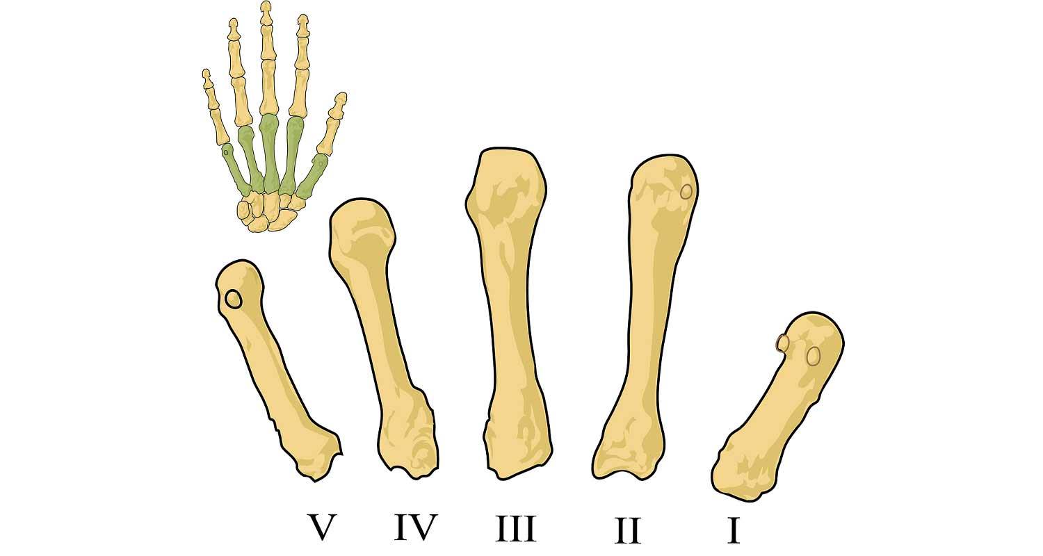 Come possiamo prevenire l’osteoporosi