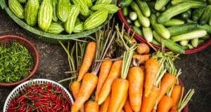 Quale la dieta giusta per te