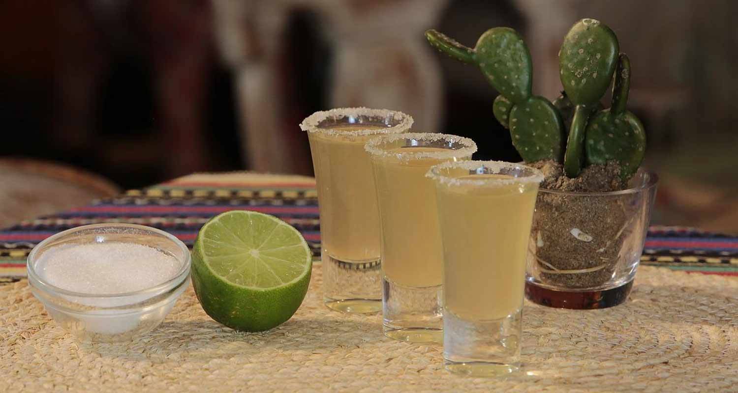 Tumori causati da alcol quali sono i collegamenti