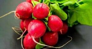 Ravanelli i benefici che certamente non conosci