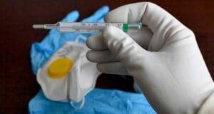 Il vaiolo delle scimmie non puo trasformarsi in una nuova pandemia