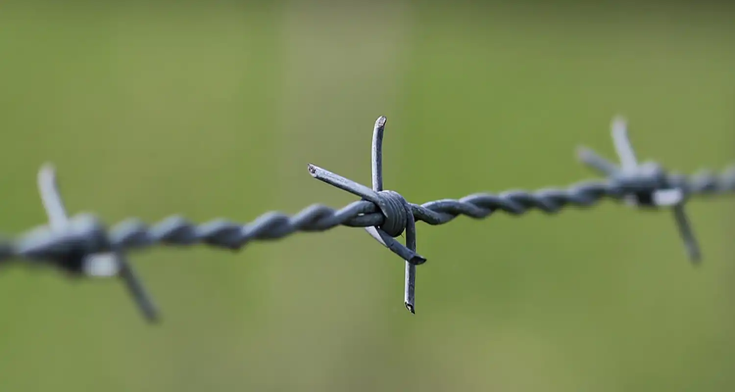 La Finlandia costruira una recinzione lungo il confine con la Russia