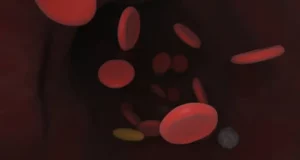 Globuli bianchi alti quando preoccuparsi e perche