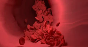 Globuli rossi bassi cosa mangiare e perche