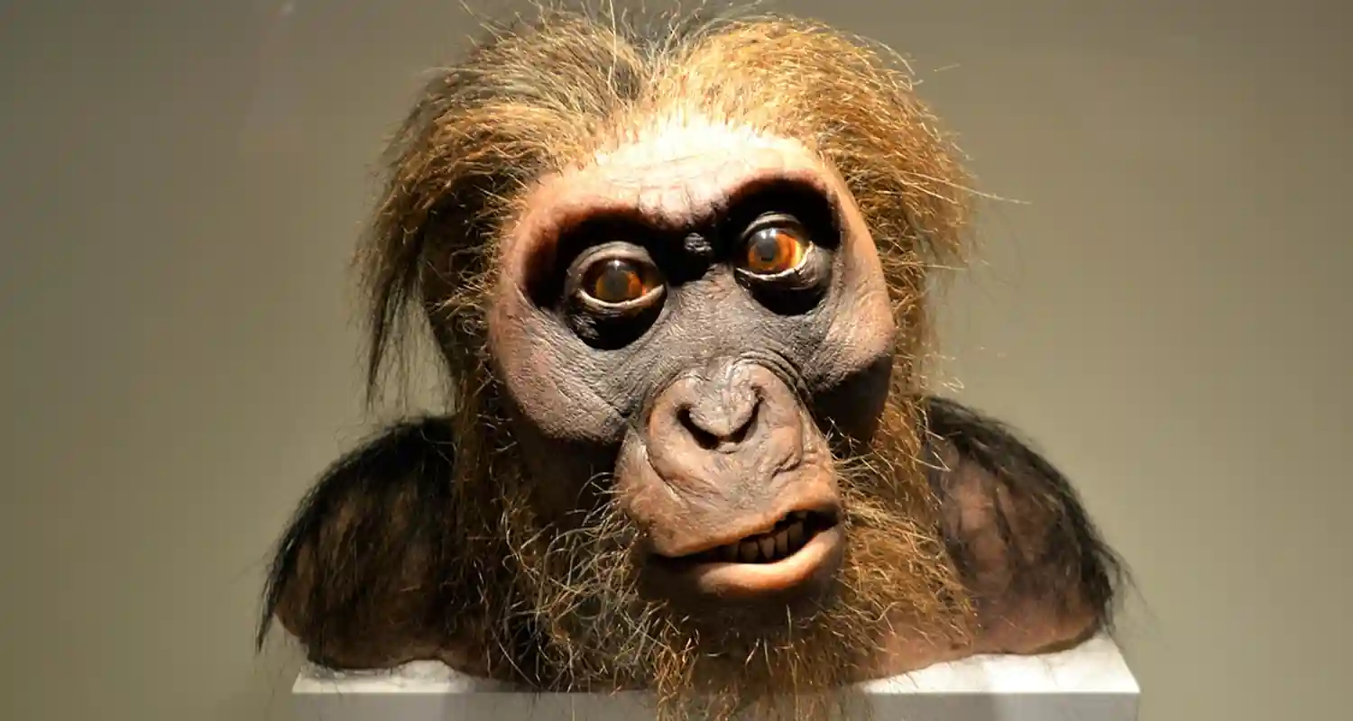 Il gene del naso ereditato dai Neanderthal influisce sulla nostra anatomia