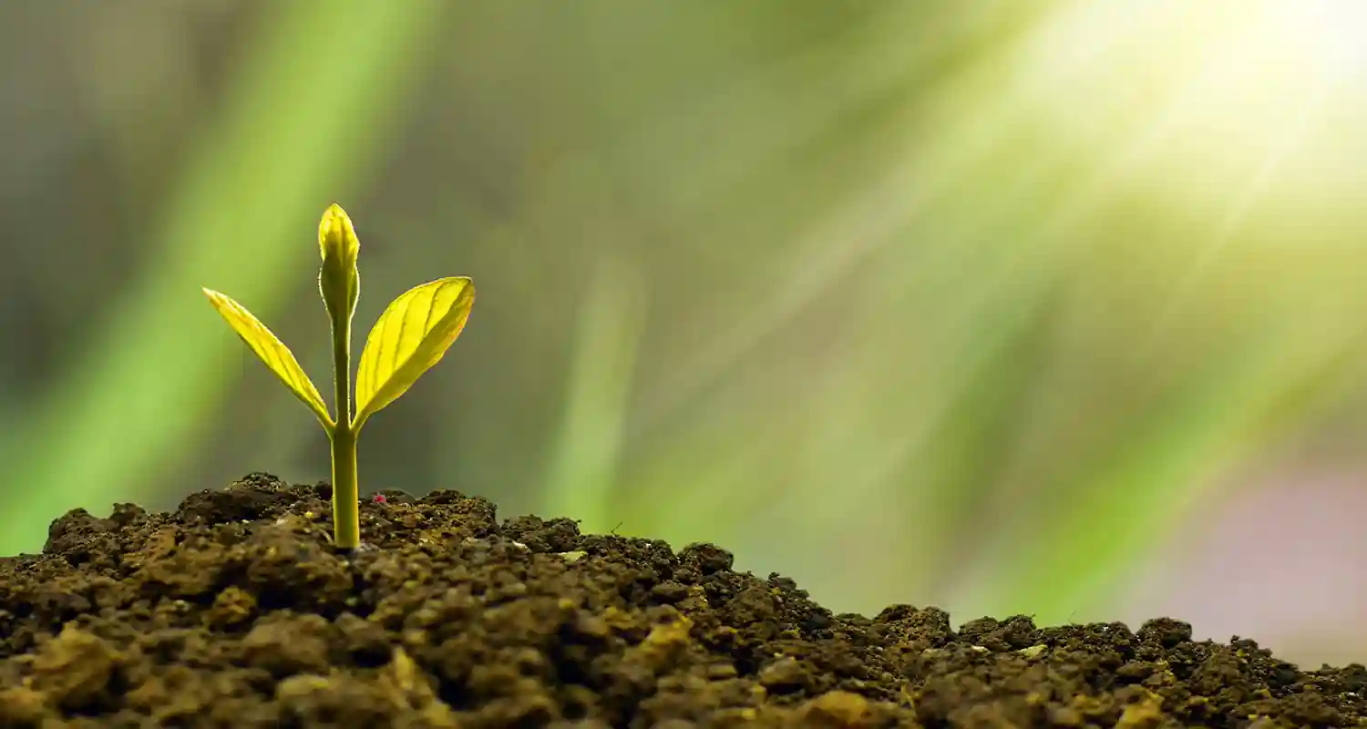 La Politica Europea per la Rete Green nel 2023