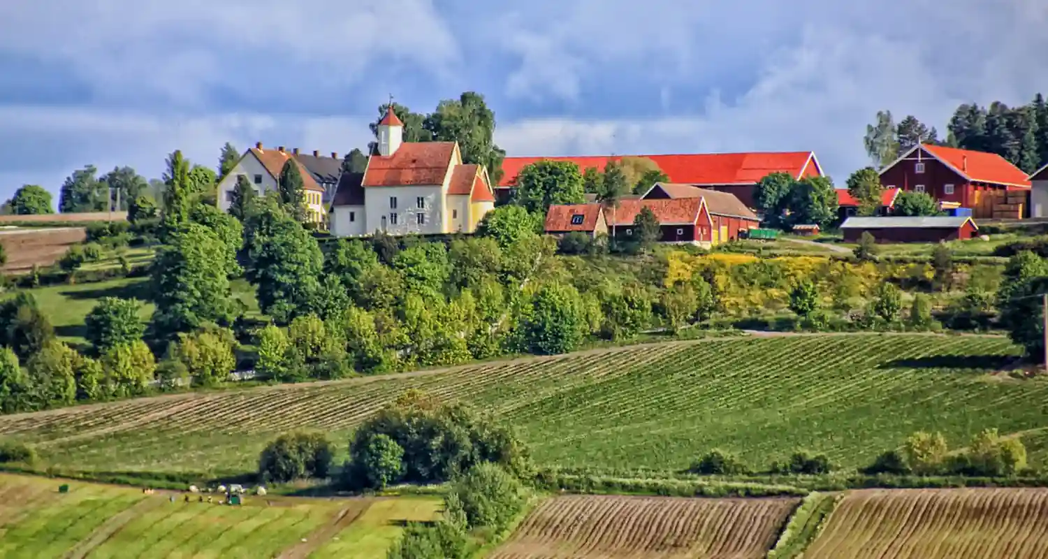 Conduzione terreno agricolo a titolo gratuito