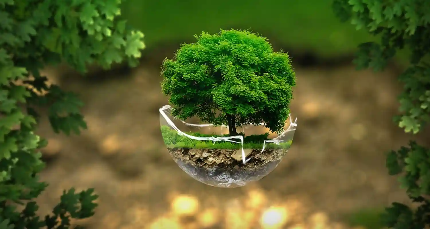 Ecobonus Italia 2024 Guida al Futuro de Energia Sostenibile