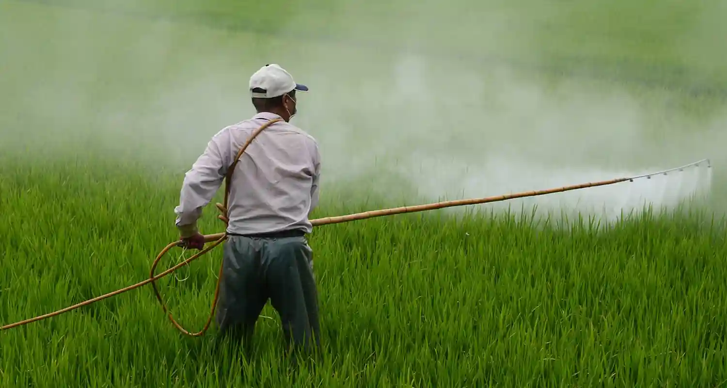 Bayer annuncia una alternativa al glifosato diserbante