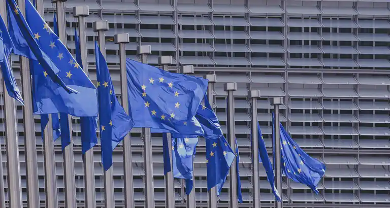 Le normative europee ed italiane distinguono gli agenti chimici