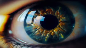 OpenAI presenta il modello o3 un nuovo passo verso intelligenza artificiale avanzata