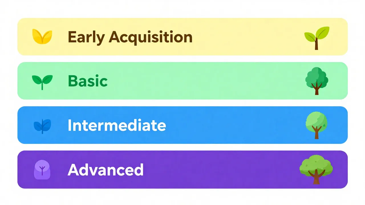 descrittori-rubriche-valutazione-scuola-primaria